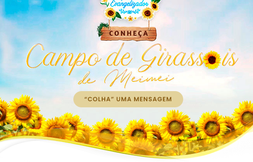 Campo de Girassóis 